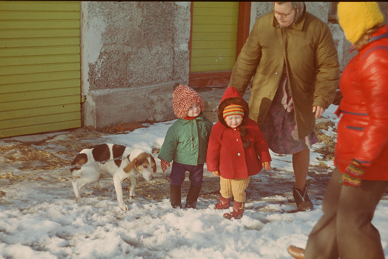 Foto61killu Merle Leedi